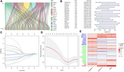 Prognostic Value of Drug Targets Predicted Using Deep Bioinformatic Analysis of m6A-Associated lncRNA-Based Pancreatic Cancer Model Characteristics and Its Tumour Microenvironment